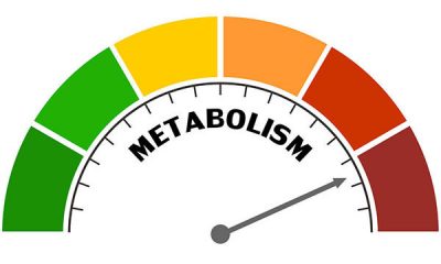 Slow Metabolism